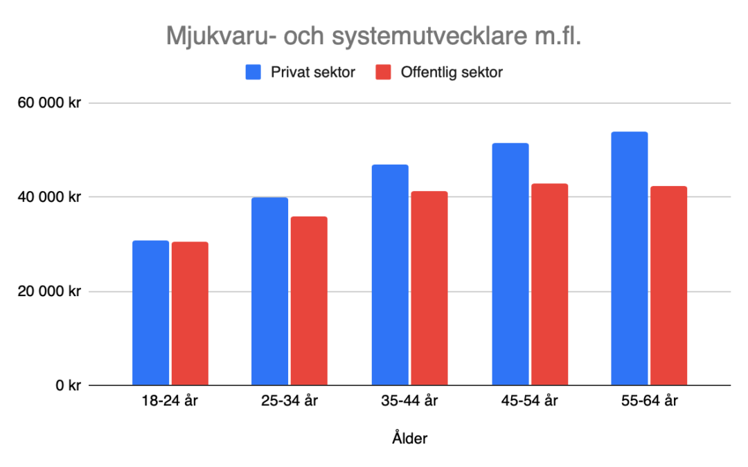Vad tjänar en programmerare? Lön och statistik [2023]